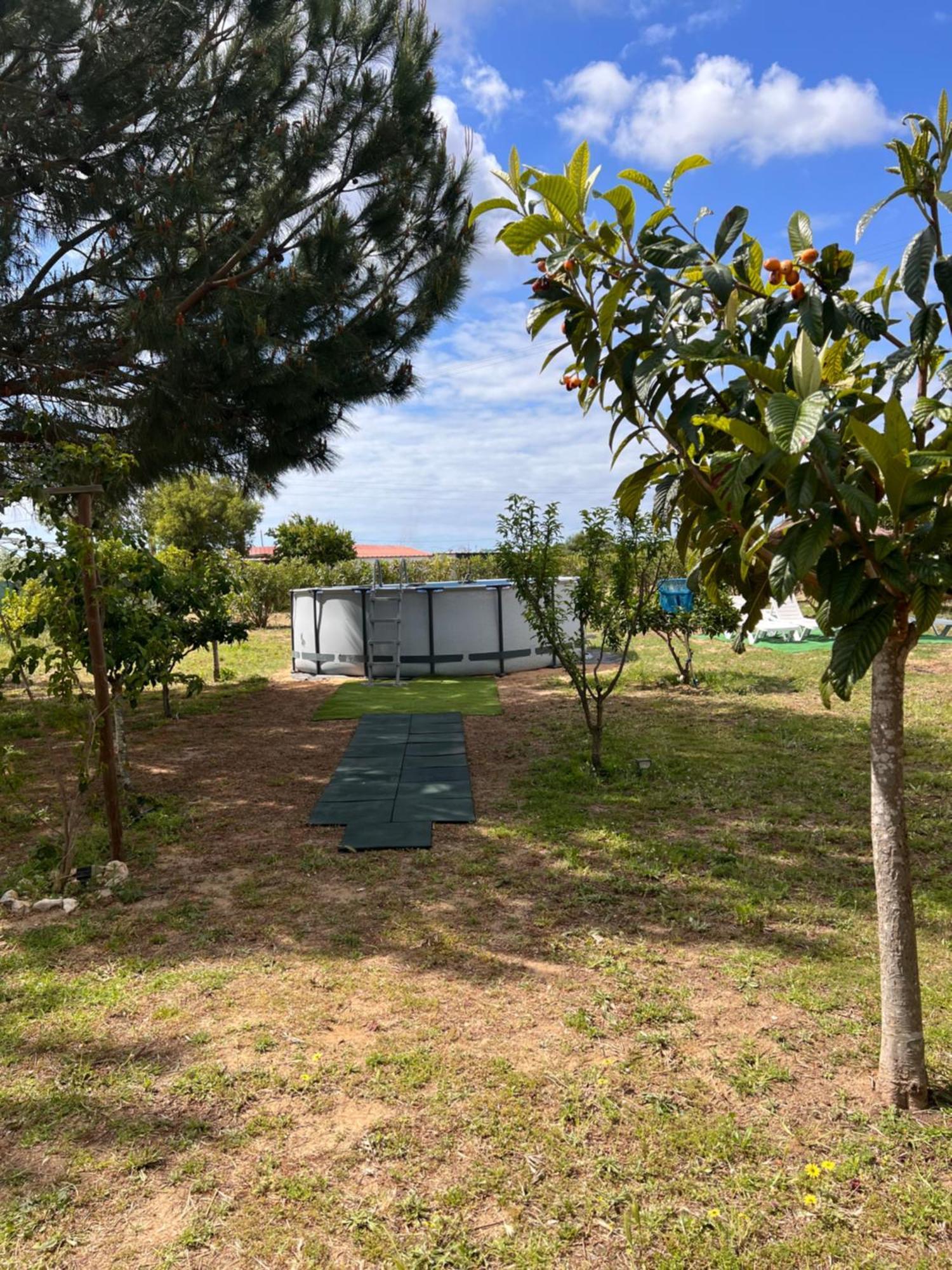 Вилла Quinta Dos Viegas Фару Экстерьер фото